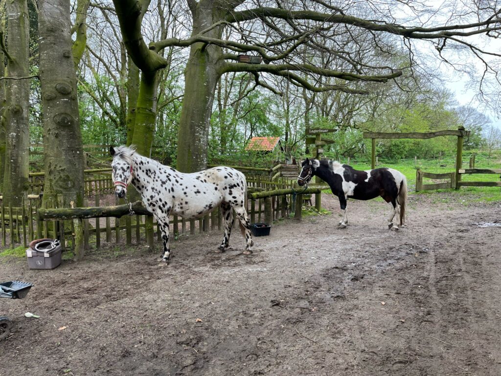 WhatsApp Image 2024-04-14 at 14.49.25