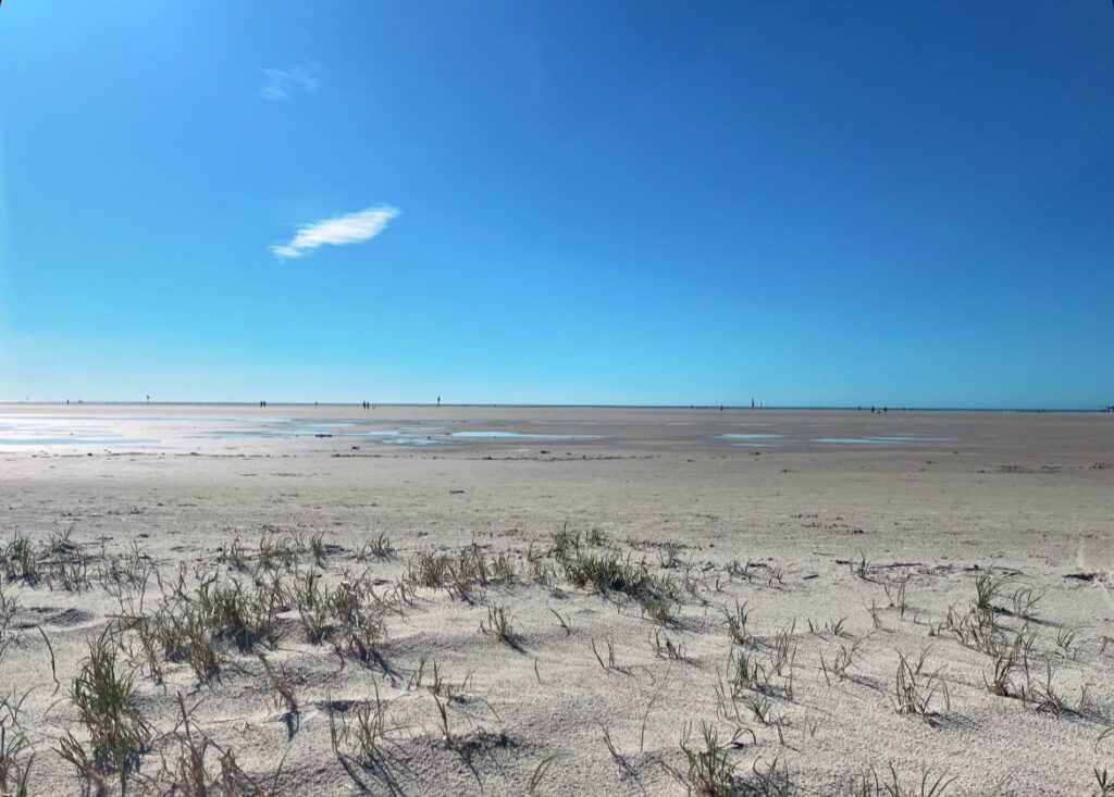 WhatsApp Image 2024-04-14 at 14.49.26 (1)