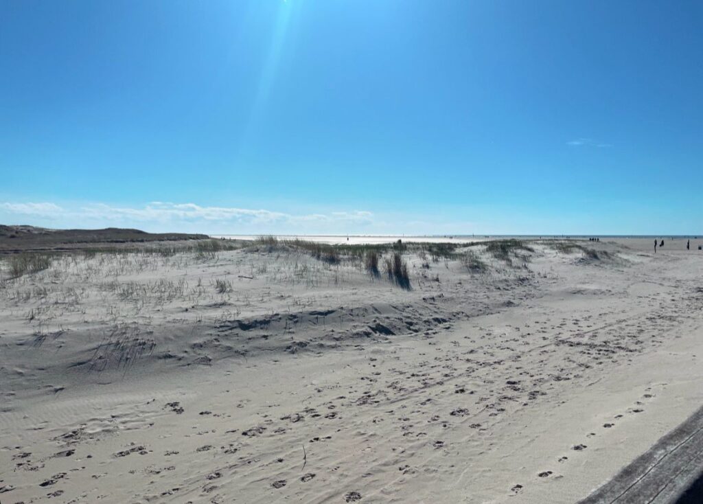 WhatsApp Image 2024-04-14 at 14.49.26 (2)