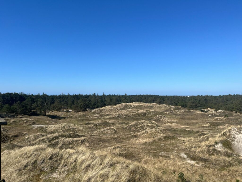 WhatsApp Image 2024-04-14 at 14.49.31