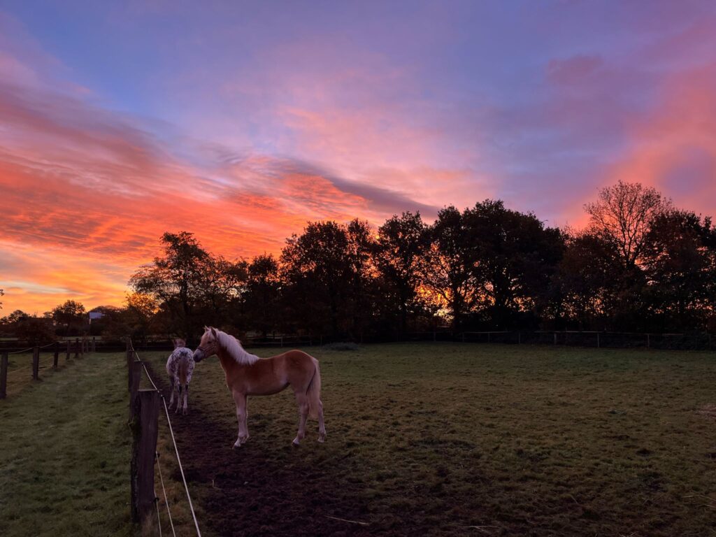 WhatsApp Image 2024-04-14 at 14.56.29